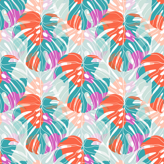 Colour Monstera